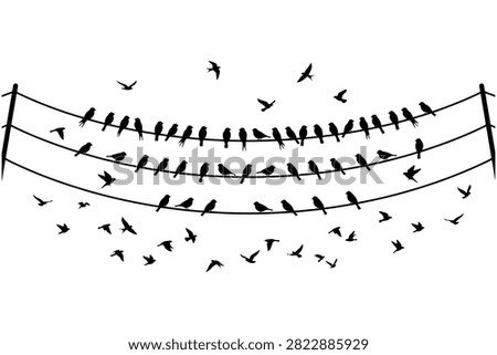 Birds perched on curved power lines with others flying freely around