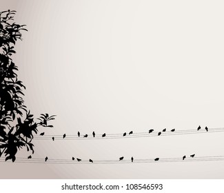 Birds perched on electric cables with tree background