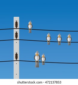 Birds perching on wire.