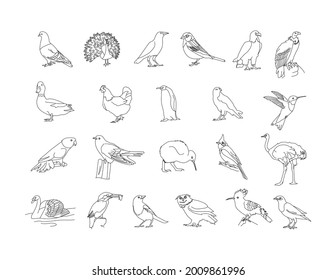 Birds - Pigeon, peacock, crow, sparrow, duck, hen, penguin, hawk, black and white, gray scale, kid book, children line drawing clip art set 