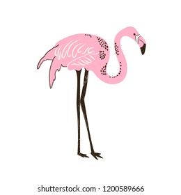 Birds pink Flamingo. Hand drawn Vector animal illustration for prints, cards