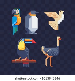 Birds. Pixel art icons set. Logo design template. Stickers and embroidery design. Game assets. Isolated vector illustration. 