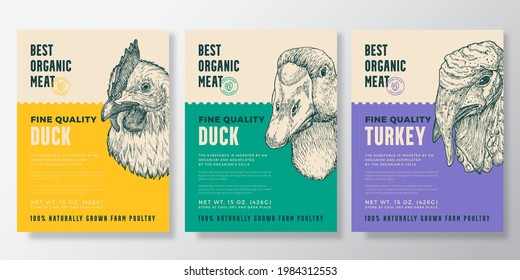 Birds Portrait Organic Poultry Vector Packaging Design or Label Templates Set. Farm Steaks Banners. Modern Typography and Hand Drawn Chicken, Duck, Turkey Head Sketches Backgrounds Layout Collection.
