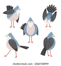 Los pájaros posan. Caricatura de pájaro, aislado en expresiones de pájaro movedizo emocional blanco, paseos voladores miran hacia otro lado a las aves de corral pos set ilustración vectorial