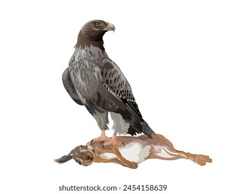 Raubvögel. Steinadler auf der Jagd nach einem Hasen. Jäger mit gefangener Beute. Vektorillustration isoliert auf weißem Hintergrund