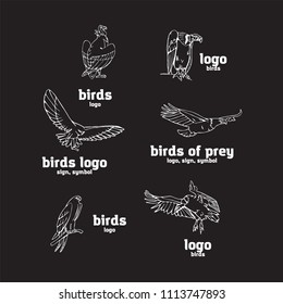 Birds of prey set. Bird engraved style emblem. Hand drawn style. Linocut, stencil vector art. Black and white, minimal.