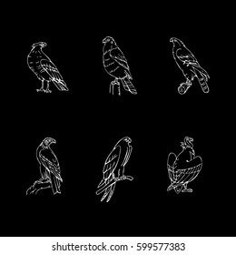 Birds of prey set. Bird engraved style emblem. Hand drawn style. Linocut, stencil vector art. Black and white, minimal.