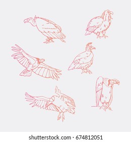 Birds of prey set. Bird engraved style emblem. Hand drawn style. Linocut, stencil vector art. Colored, minimal.