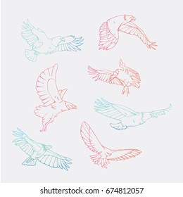 Birds of prey set. Bird engraved style emblem. Hand drawn style. Linocut, stencil vector art. Colored, minimal.