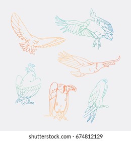 Birds of prey set. Bird engraved style emblem. Hand drawn style. Linocut, stencil vector art. Colored, minimal.