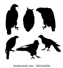 Birds of prey. Set of vector black silhouettes on white background