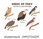 Birds of prey vector illustration set. Predatory birds cartoon clipart set in flat style. Eagle, owl, hawk, falcon, vulture flat vector design. Wild animals, raptors, birds concept