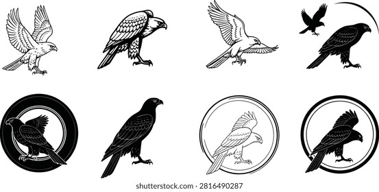 Birds of prey vector set, hawk and falcon silhouettes, flying and perched raptor icons, emblem designs, wildlife illustrations for logo and branding