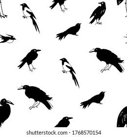 Birds seamless pattern. Crow; swallow; magpie; jackdaw; stork; heron; cuckoo.  Hand drawn vector design. Paper, wall paper, package, wrapping paper.
