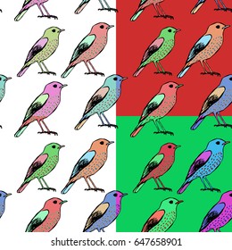 Birds seamless pattern In four colors
