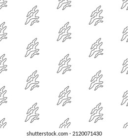 birds seamless pattern isolated on white background.