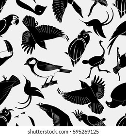 Birds seamless pattern. Repeating Penguin, Humming Bird, Owl, Eagle, Toucan, Ostrich, Raven, Great Tit, Cockatoo, Duck  and Parrot