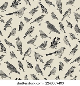 Birds. Seamless pattern. Vector vintage illustration. Black and white 