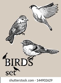 birds set