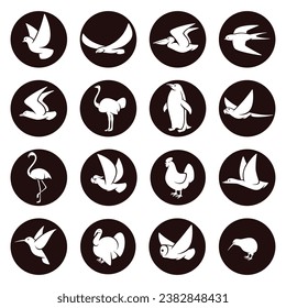 Birds set. Collection icon birds. Vector