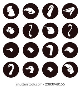 Birds set. Collection icon birds. Vector