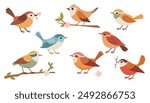 Birds set. Different beautiful birdie with flowers and branch. Vector cartoon illustration in childish style isolated on white.