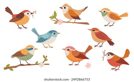 Pájaros listos. Diferentes pajarillos hermosos con flores y rama. Ilustración de dibujos animados de Vector en estilo infantil aislado en blanco.