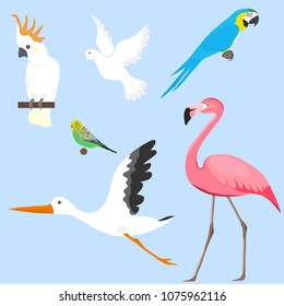 Birds, a set of diverse birds. Flamingo, parrot, cockatoo, stork, dove. Flat design, vector illustration, vector.