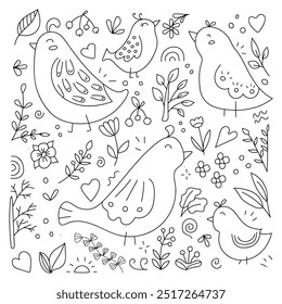 Pássaros definidos no estilo doodle. Vetor, sobre fundo branco