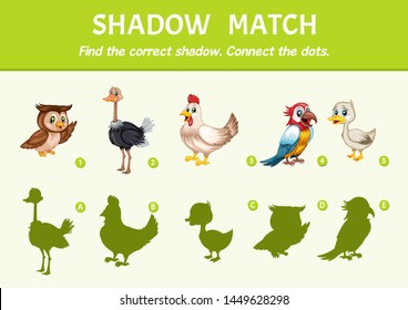 Birds Set Find the Correct Shadow. Shadow Matching Educational Game for Kids to Compare and Connect Objects and Shadows, Simple Game For Preschool Children Learning Games