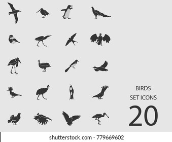 Birds set of flat icons. Simple vector illustration