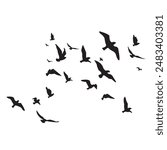 Birds Set FLying Silhuette Vector EPS 10