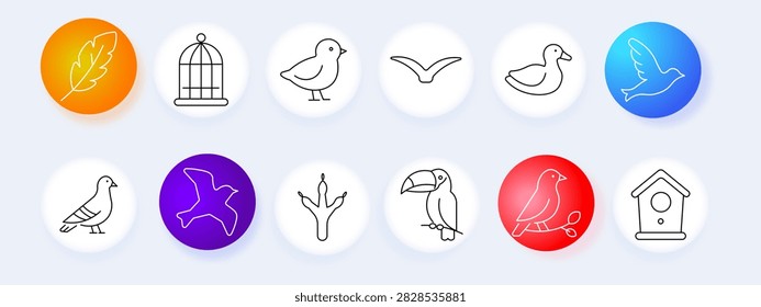 Birds set icon. Single feather, bird cage, baby chick, soaring wings, swimming duck, flying dove, standing pigeon, purple bird, claw, toucan beak, perched, wooden birdhouse.