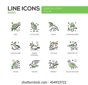 Aves - conjunto de modernos iconos de diseño vectorial y pictogramas de animales. Lechuza, flor, pájaro zumbante, pescador rey, gran ballenco, teta retorcida, munia, cuervo, perdix, grupo negro