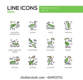 Birds - set of modern vector line design icons and pictograms. Helmeted guineafowl, goose, duck, penguin, great crested grebe, albatross, flamingo, heron, pelican, vulture, condor, buzzard