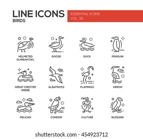 Birds - set of modern vector plain line design icons and pictograms. Helmeted guineafowl, goose, duck, penguin, great crested grebe, albatross, flamingo, heron, pelican, vulture, condor, buzzard