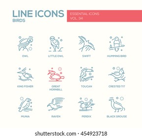 Birds - set of modern vector plain line design icons and pictograms of animals. Owl, swift, humming bird, king fisher, great hornbill, toucan, crested tit, munia, raven, perdix, black grouse