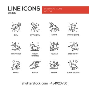 Birds - set of modern vector plain line design icons and pictograms of animals. Owl, swift, humming bird, king fisher, great hornbill, toucan, crested tit, munia, raven, perdix, black grouse