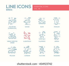 Birds - set of modern vector plain line design icons and pictograms. Helmeted guineafowl, goose, duck, penguin, great crested grebe, albatross, flamingo, heron, pelican, vulture, condor, buzzard