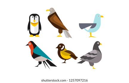Birds set, penguin, eagle, gull, pigeon vector Illustration