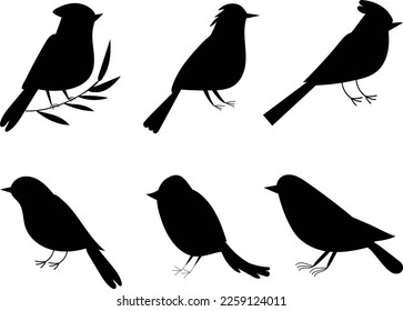 birds set silhouette isolated, vector