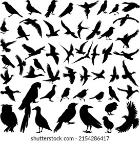 birds set silhouette, on white background, isolated, vector