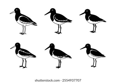  birds set silhouette vector on white background.
