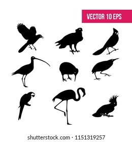 Birds set vector. crane bird, icon pack