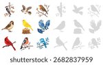 Birds set vector illustration collection of woodpecker, sparrow, robin, canary, blue jay, cardinal, bullfinch, songbird, wild bird isolated on white background
