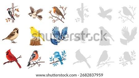 Birds set vector illustration collection of woodpecker, sparrow, robin, canary, blue jay, cardinal, bullfinch, songbird, wild bird isolated on white background