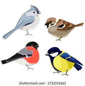 Las aves establecen la ilustración vectorial. Teta cresta europea, Titmouse, Bullfinch, Sparrow. 