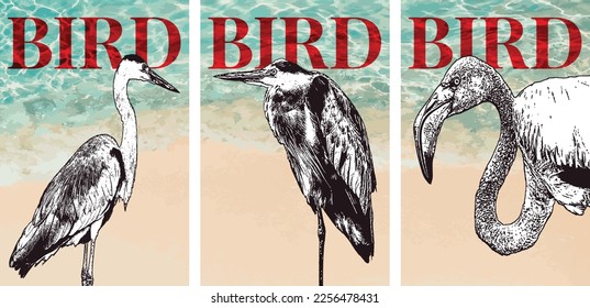 Birds. Set of vector posters with birds. Engraving style illustration with abstract elements. Background images for cover, book, card, banner, poster, t-shirt print.