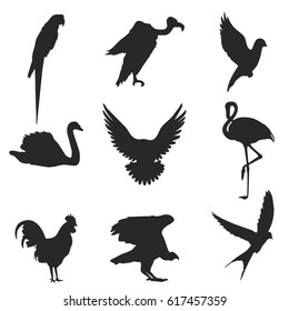 Birds. Set of vector silhouettes isolated on white background.