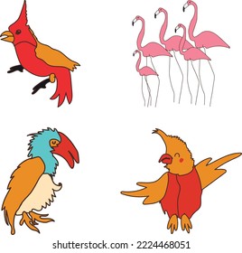 Birds set, wild birds, caribbean birds, exotic birds, bird set, nature infographic, illustration set, vector illustration, flat design